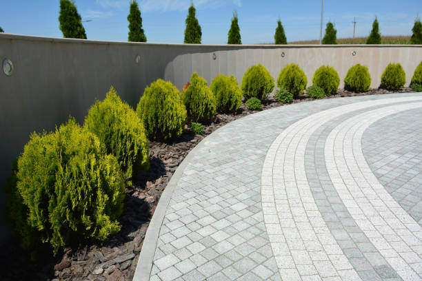 Best Driveway Paver Repair  in Pardeeville, WI