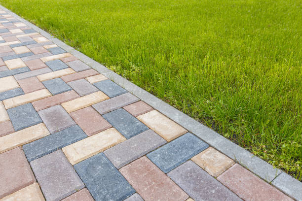Best Driveway Pavers Near Me  in Pardeeville, WI
